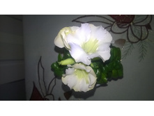 WP 20160319 10 53 05 Pro.jpg