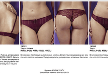 Apollo �����.png