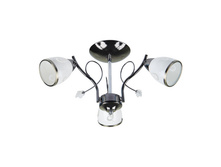 GEM 3 PBL E14 1250p.jpg