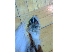 IMG 20160227 191741.jpg