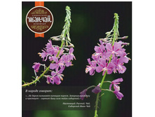 ��� - �����.jpg