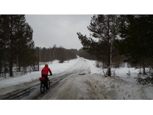 IMG 20160313 153307[1].jpg