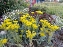 ����� �� �����