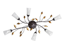 242015206 3250�.jpg