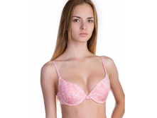 350.00  RP842*5 ����������� ���-�� Mellow Rose