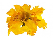 2438. �����. ����. ������ 15 ��. 100 ���.jpg