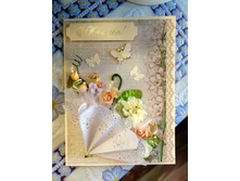 ��������������� ��������