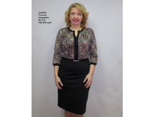 ��2060 ���