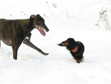 12671818 996860353713721 6392000411660273262 o.jpg