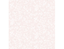 3865.jpg
