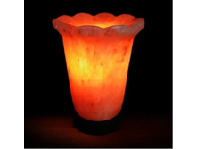 ������� ����� �������� ������ 1496�