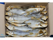 ����� �������.jpg