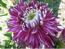 №19 ����� ��������.jpg