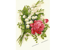 ���� � ��������� - 225 ���..jpg