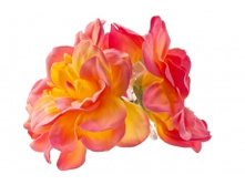 5063. �����. ����. ������ 11 ��. 49 ���.jpg