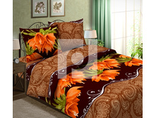 ���� ��������.jpg