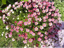 ���������� �������