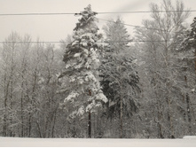 P 20160327 080915.jpg