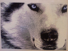 141083580-img 20160222 003541.jpg