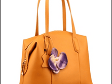 Image465.png
