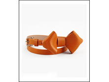Image312.png
