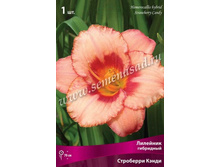 �������� ��������� ��������� �����.jpg