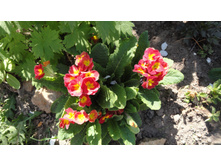 �������