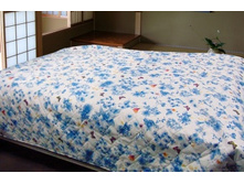 036 �������