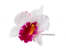 3142. �����. �������. ������ 15 ��. 29 ���.jpg