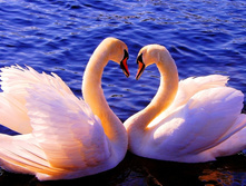 91498275 18381694.jpg