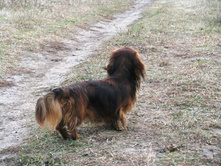 11008 776357609097331 6027246236301085447 n.jpg