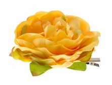 5548. �����. �����. ������ 9 ��. 89 ���.jpg