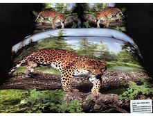 ���. TS05-842.jpg