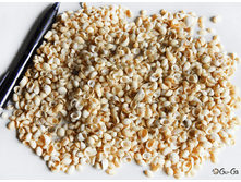 ������� ������ ֣����, �������:8981, 48�