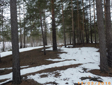 18.JPG