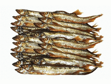 ����� (1).gif