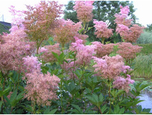 �������� ������� ���������