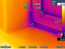 ������ ���� �� ����� ��� ��� ����.JPG