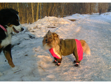 IMG 20160330 175117.jpg