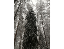 P 20160327 082020.jpg