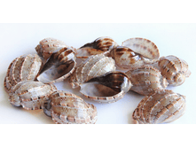 ������� ����� ����� ��.,�������:8894, 143�