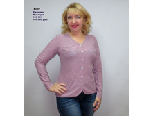 �2007 ����