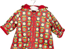 37432 ���� 2828 �.jpg