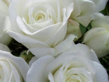 ����� 234���. ����� �������� ��� 3��.jpg