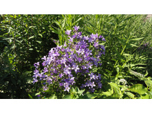 ........�����