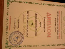 ������ 21.10.2012.jpg