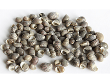 ������� ������ �������� ��.,�������:8919, 48�