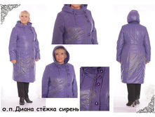 1. �.�. ����� �ԣ��� ������(50-64)