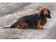 10337736 776357489097343 4500025195341744203 n.jpg