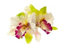 2425. �����. ����. ������ 15 ��. 100 ���.jpg